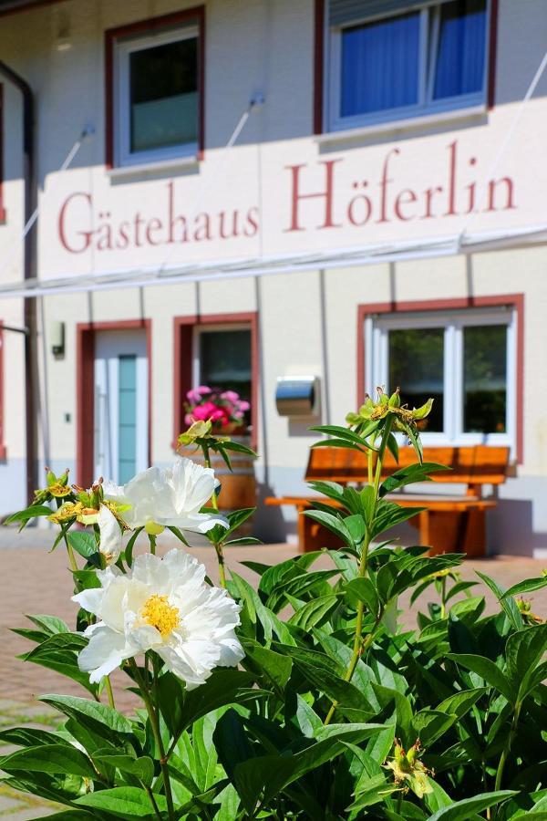 Gaestehaus Hoeferlin Bad Bellingen Dış mekan fotoğraf